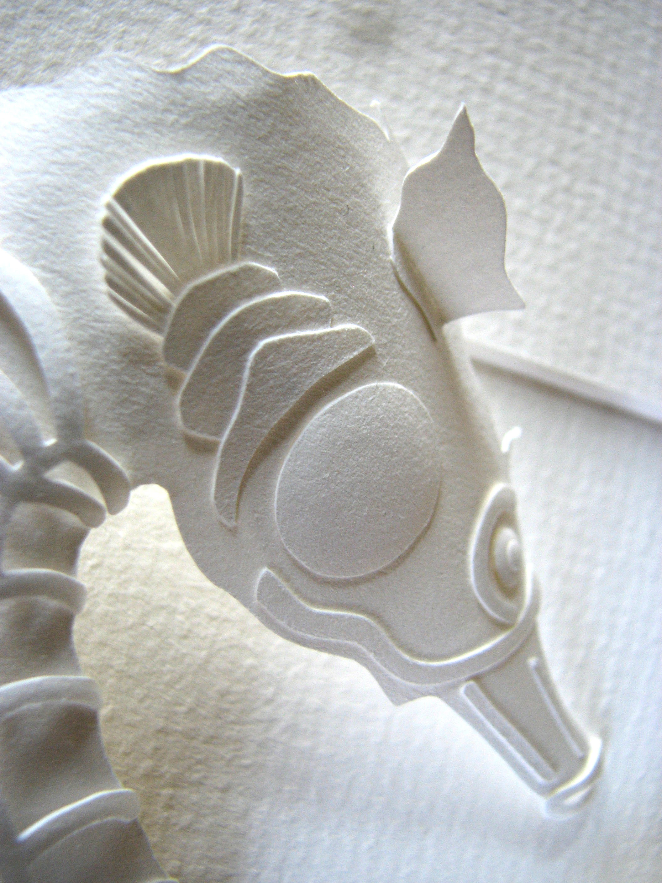Seahorse head detail